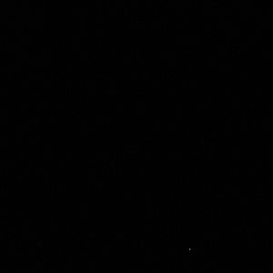 Meet your Posher, Beverly